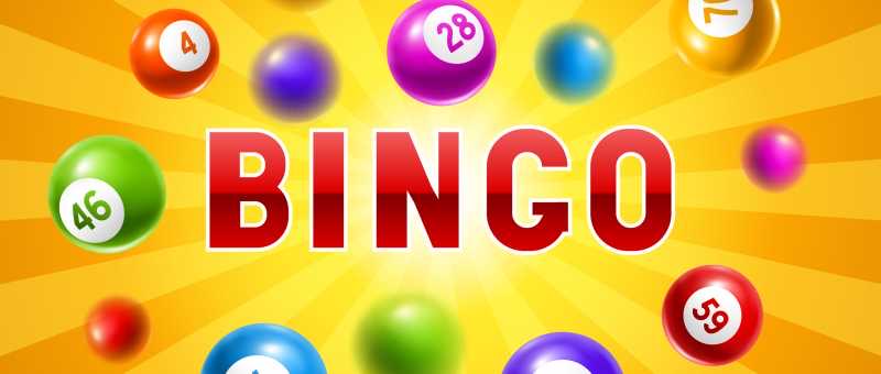 Wijzigingen van de bingo.