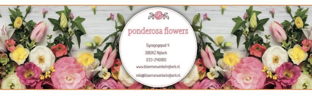 Ponderosa stopt